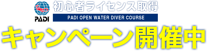 PADI 初心者ライセンス取得キャンペーン開催中