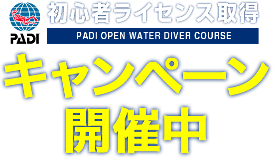 PADI 初心者ライセンス取得キャンペーン開催中